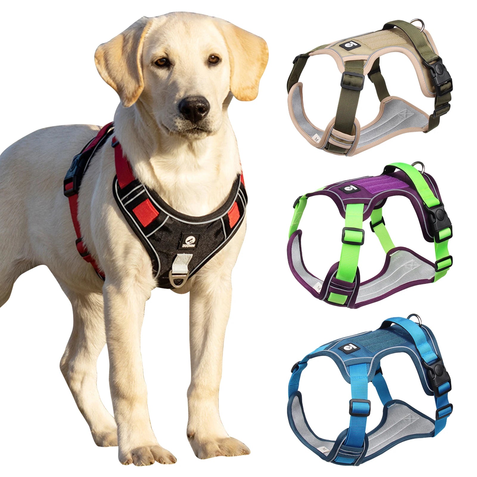 Reflective Adventure-Ready Tactical Harness
