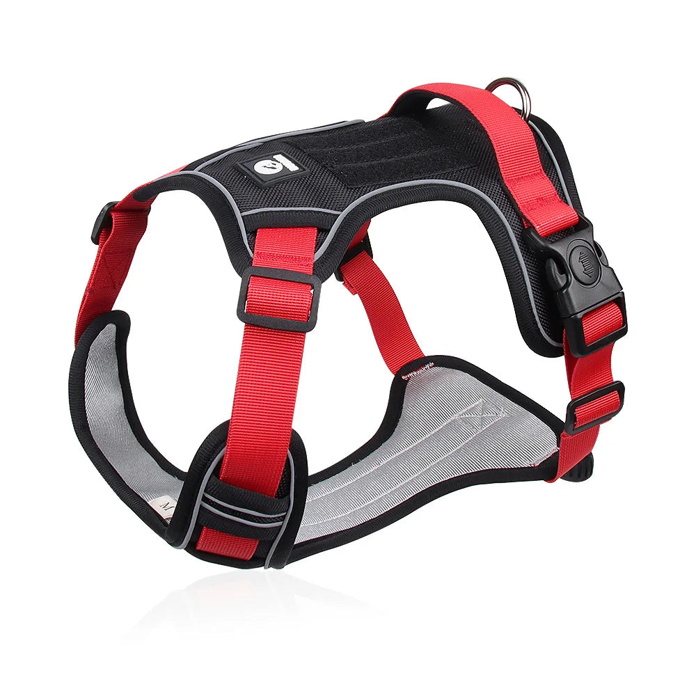 Reflective Adventure-Ready Tactical Harness